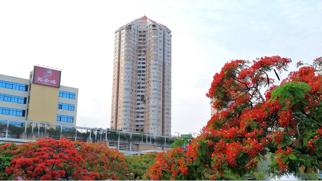 PCB廠之鳳凰花開“紅”遍深圳